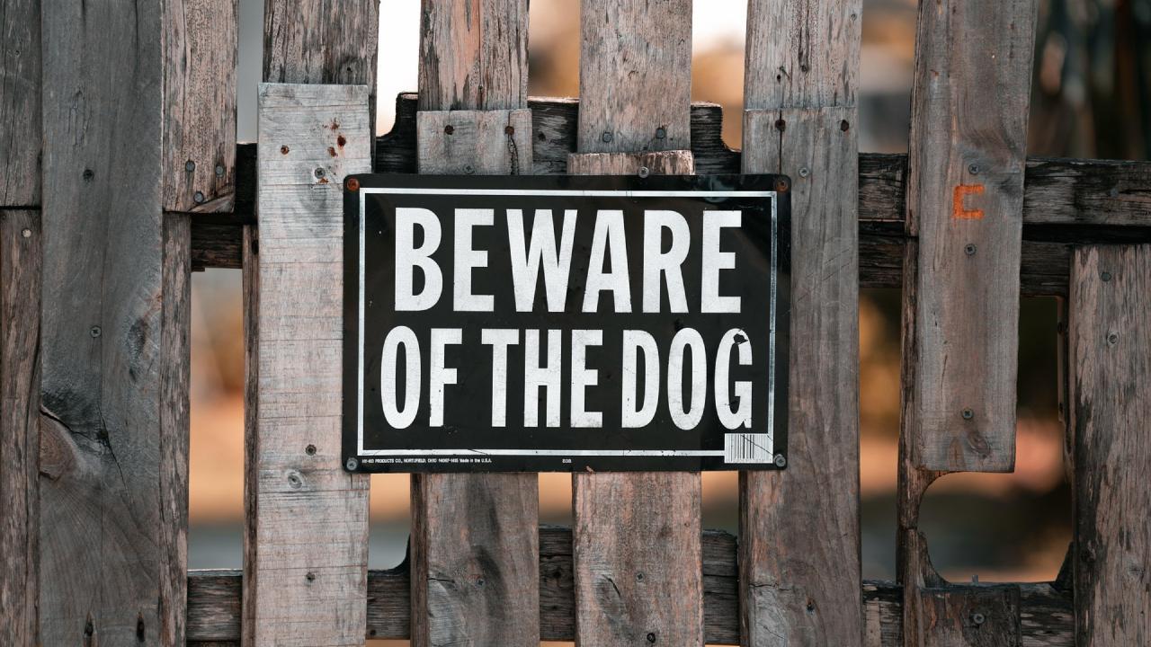 પ્રતિકાત્મક ફાઇલ તસવીર