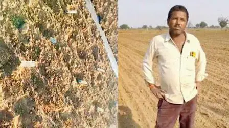 ખેતરમાં થોડા-થોડા અંતરે નોટોને જમીનમાં ખોસીને એની વાવણી કરતો વિડિયો સોશ્યલ મીડિયા પર મૂક્યો હતો