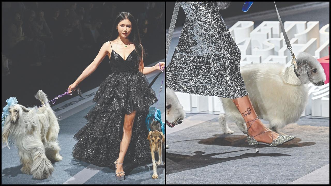 ચીનમાં શરૂ થયો પેટ ફૅશન મહિનો 