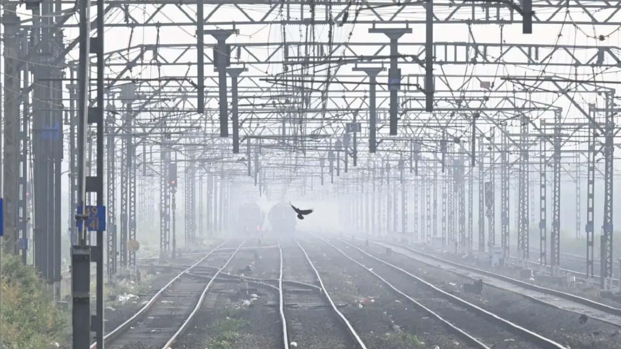 પ્રતીકાત્મક તસવીર