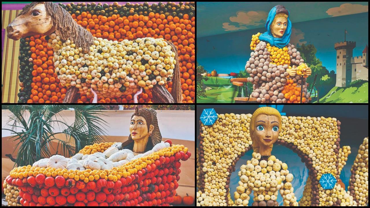 પમ્પકિન ફેસ્ટિવલ