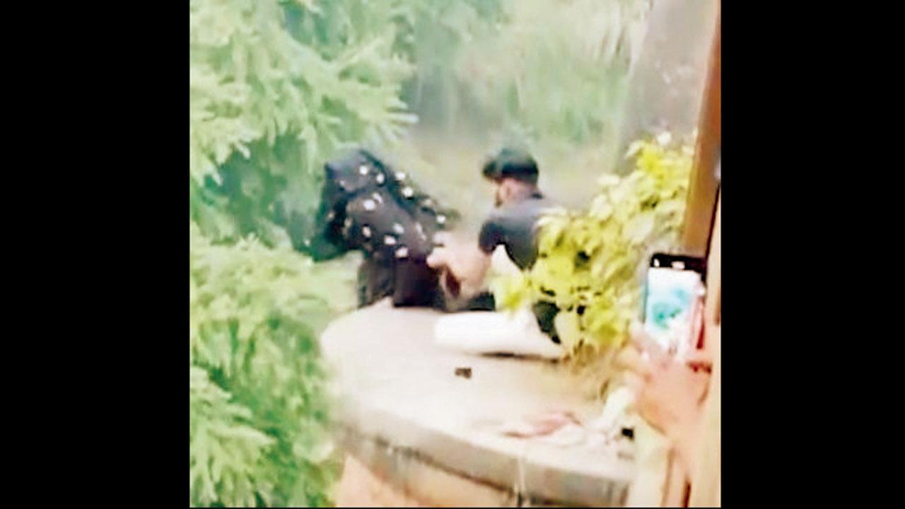 પુલ પરથી ટીનેજરે લગાવી છલાંગ 