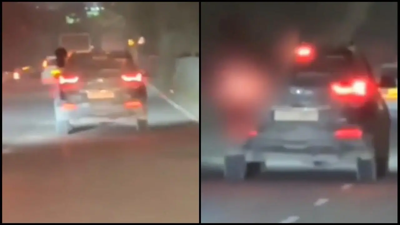 વાયરલ વીડિયોનો સ્ક્રીનગ્રૅબ (તસવીર સૌજન્ય: સોશિયલ મીડિયા) 