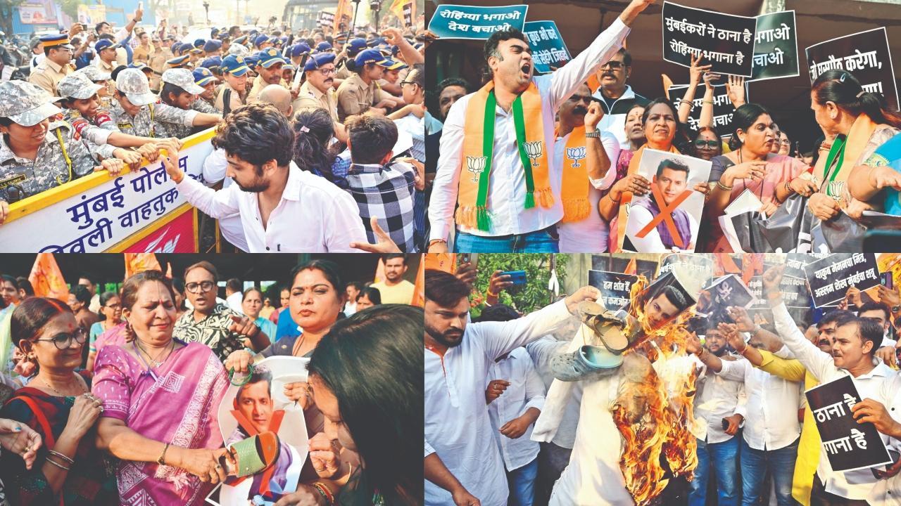 તસવીરો : શાદાબ ખાન