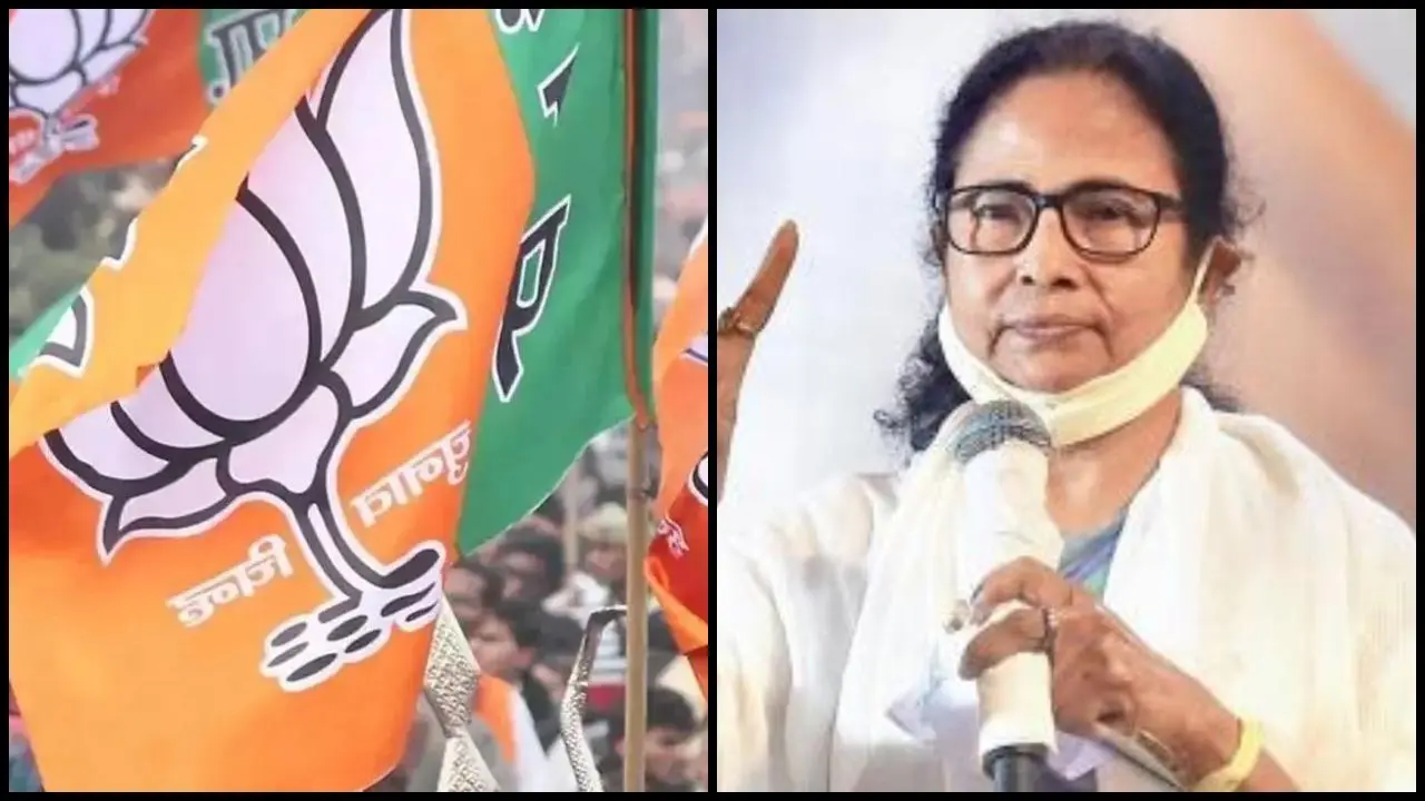 બીજેપીએ સીએમ મમતાની કરી ટીકા 