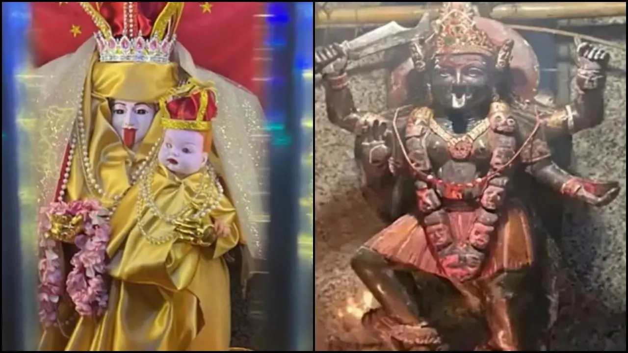 વાયરલ વીડિયોમાંથી સ્ક્રીન શૉટ (તસવીર: X)