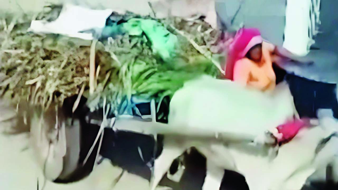 કમલેશબહેનનું માથું દીવાલ સાથે અફળાયું અને તેઓ ઘાયલ થઈને જમીન પર પડી ગયાં.