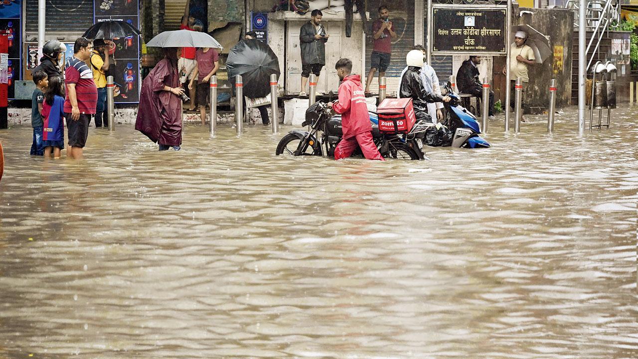 ફાઇલ તસવીર