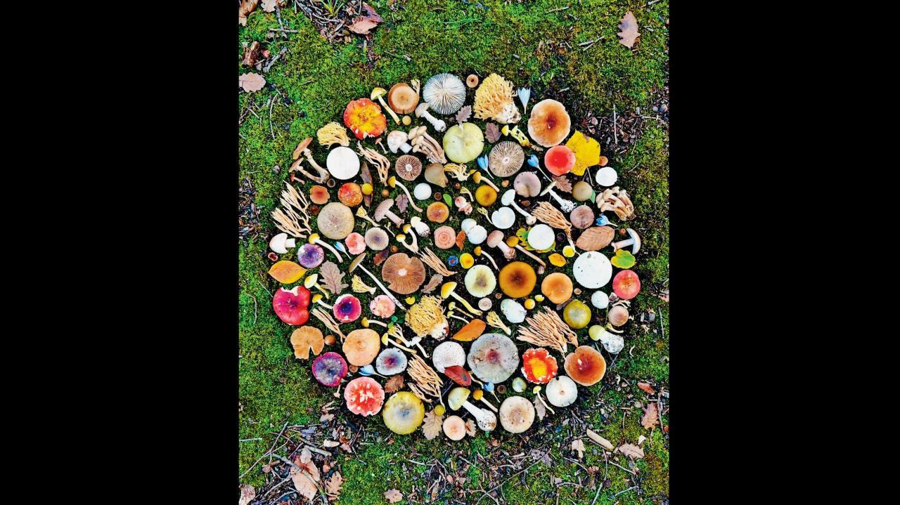 કૉન્સેપ્ચ્યુઅલ આર્ટવર્ક