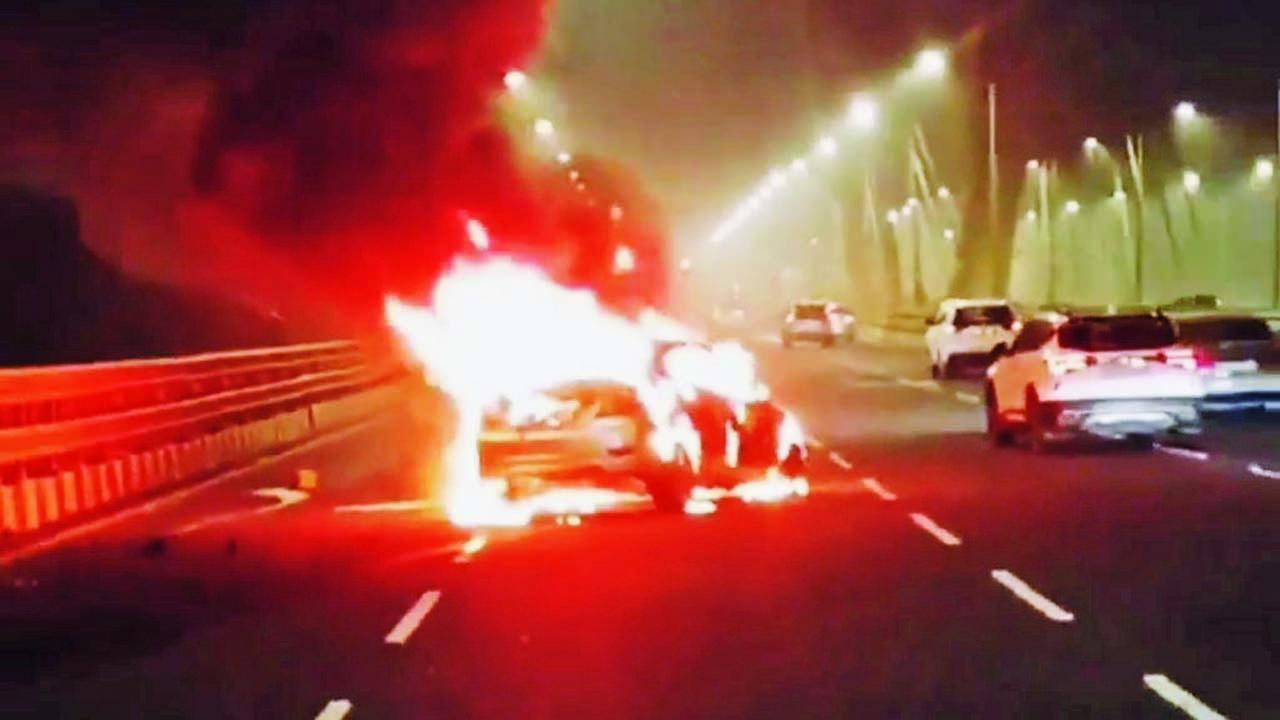 વાયરલ વીડિયોમાંથી સ્ક્રીન શૉટ