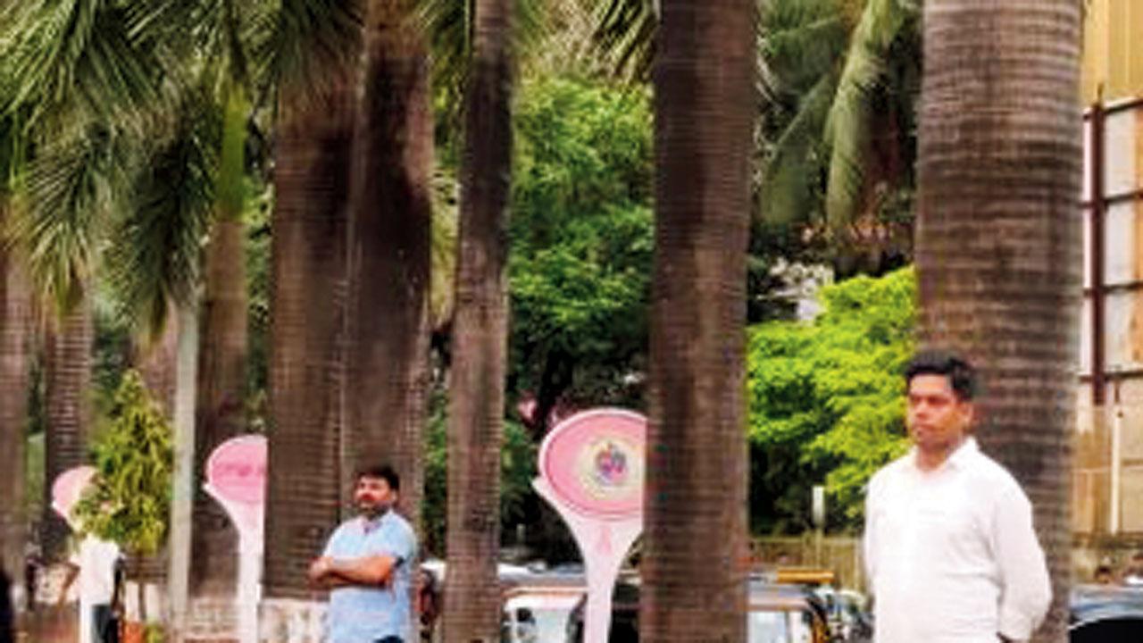 તસવીર સૌજન્યઃ સોશ્યલ મીડિયા