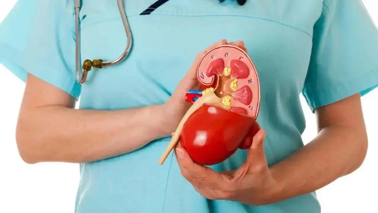 પ્રતીકાત્મક તસવીર