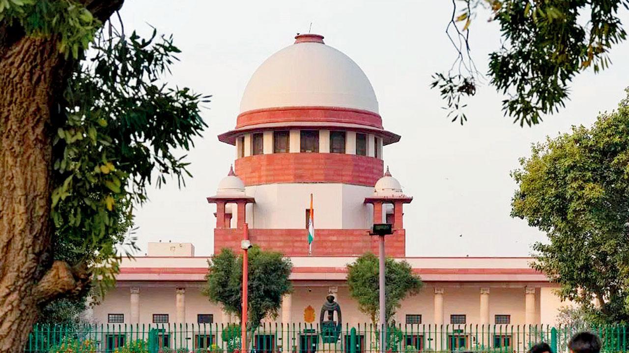 ફાઇલ તસવીર