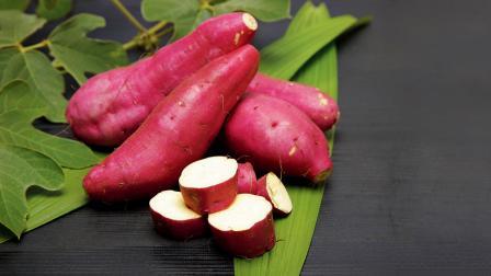 પ્રતીકાત્મક તસવીર