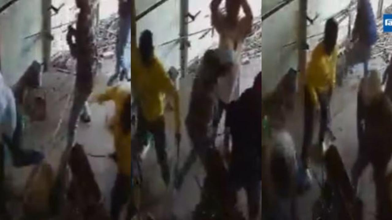 વીડિયોમાંથી લીધેલા સ્ક્રિનશોટ