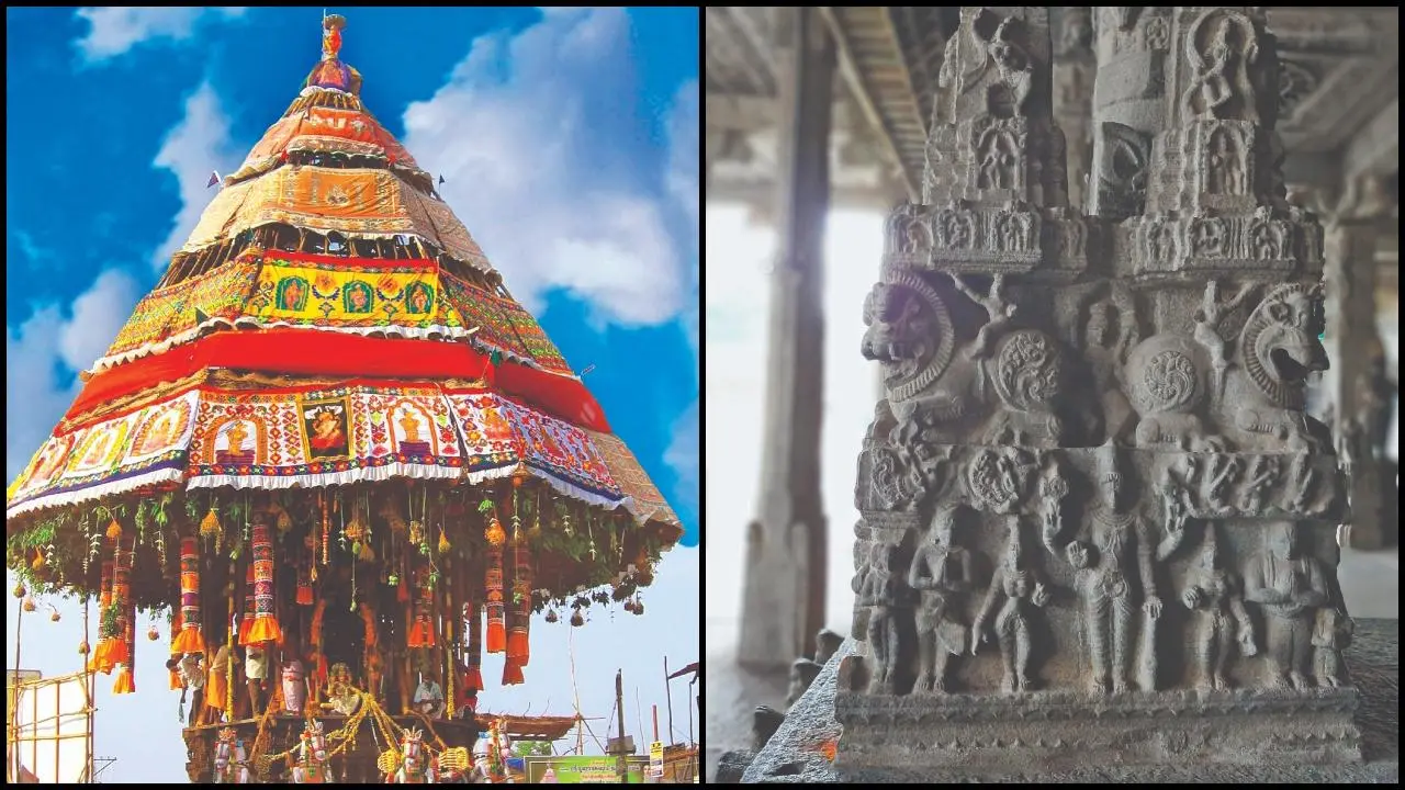 સ્વયંભૂ વરાહ સ્વામીની મૂર્તિ‍