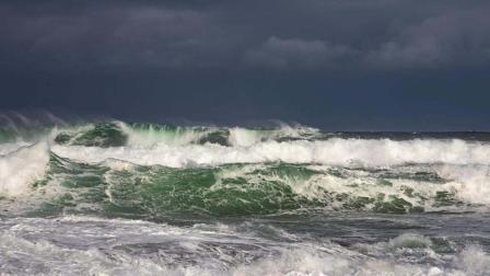 પ્રતીકાત્મક તસવીર