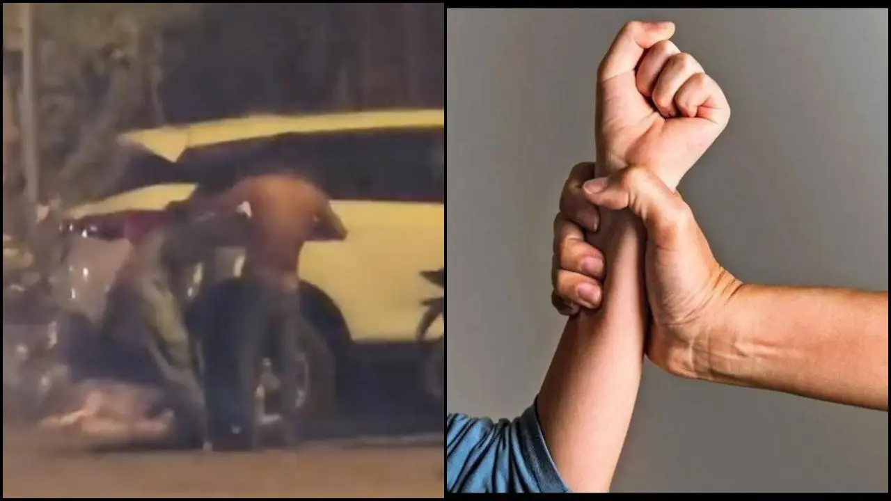 વાયરલ વીડિયોમાંથી સ્ક્રીન શૉટ (તસવીર: X)