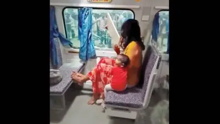 ટ્રેનમાં પર્સ ચોરાઈ ગયું તો મહિલાએ AC કોચની બારીનો કાચ તોડી નાખ્યો