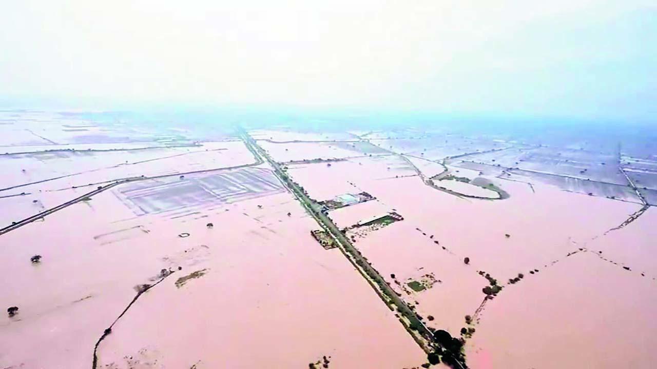 મોન્થાને કારણે આંધ્ર પ્રદેશના અમરાવતીની આસપાસનાં ખેતરો જળમગ્ન થઈ ગયાં હતાં. 