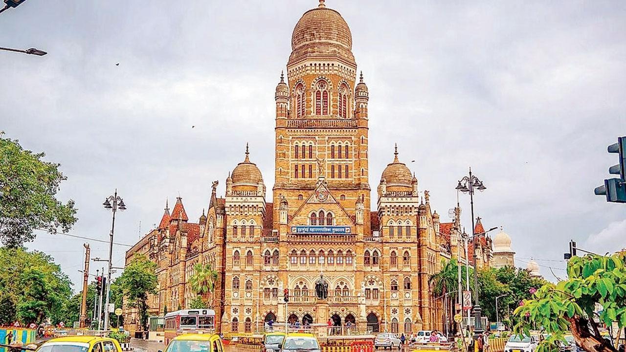 પ્રતીકાત્મક તસવીર