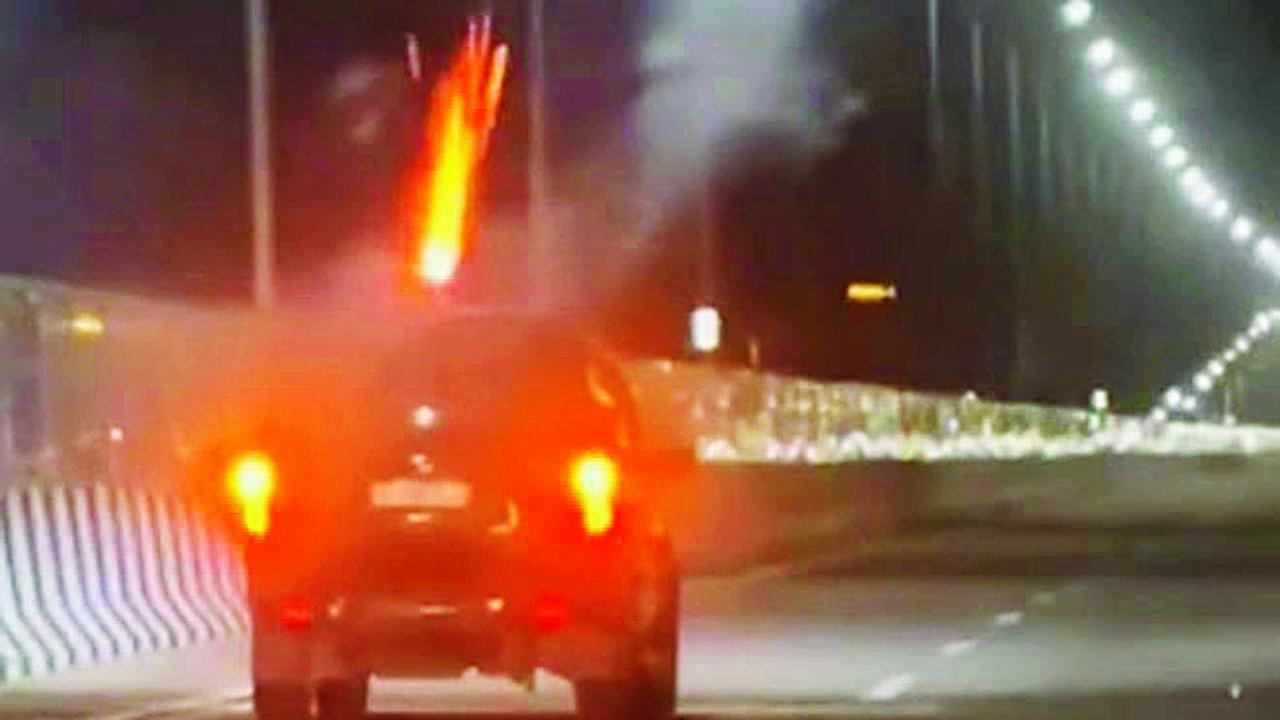 વાયરલ વીડિયોમાંથી સ્ક્રીન શૉટ