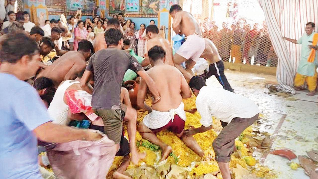 મંદિરમાં અન્નકૂટનો પ્રસાદ લૂંટતા ભક્તજનો