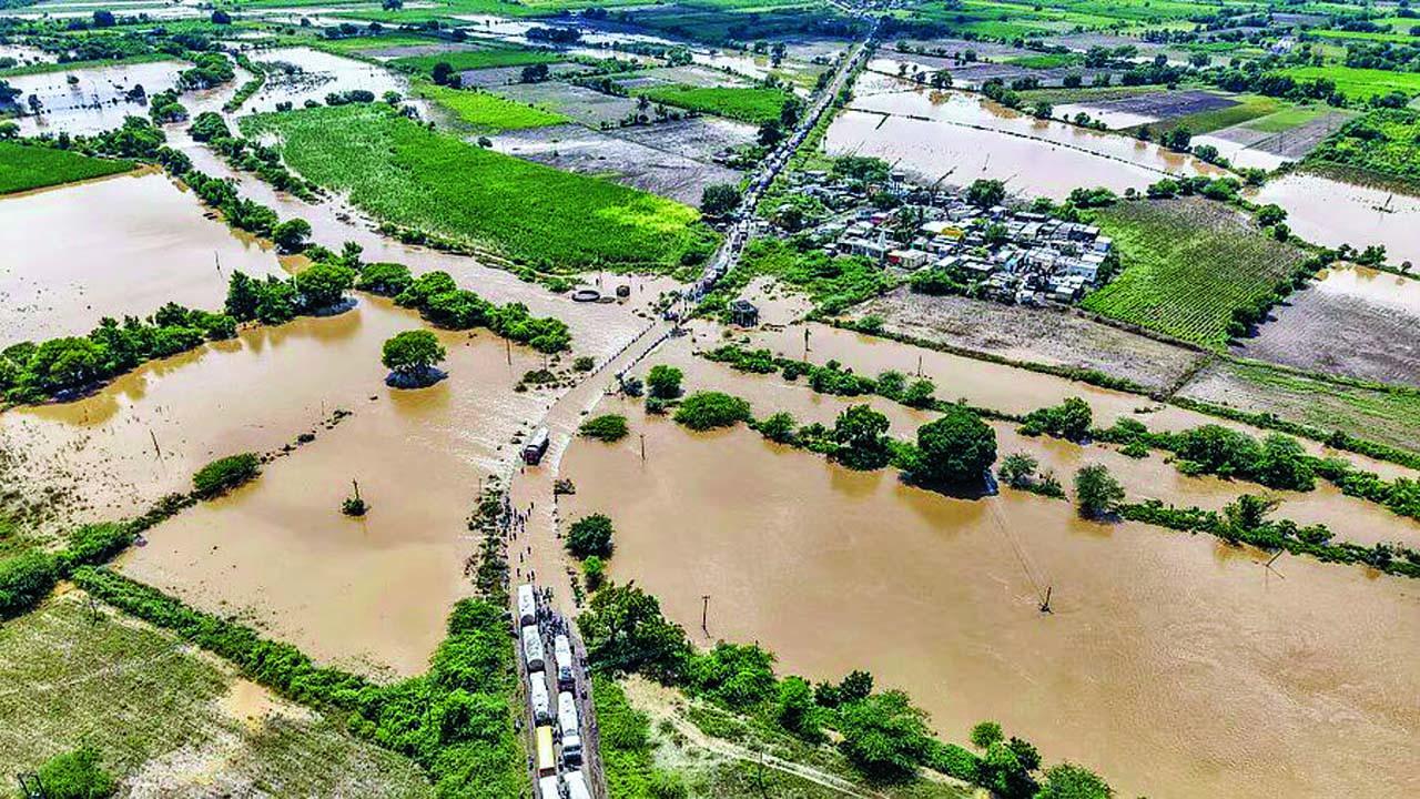 પ્રતીકાત્મક તસવીર