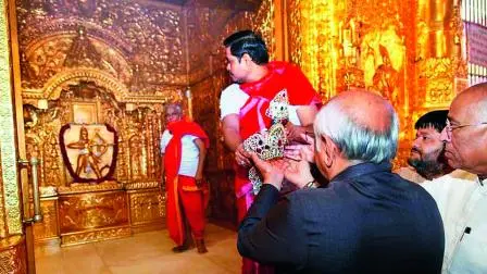આ ફોર-લેન રોડને બનાવતાં ૧૦ મહિના લાગ્યા હતા. 