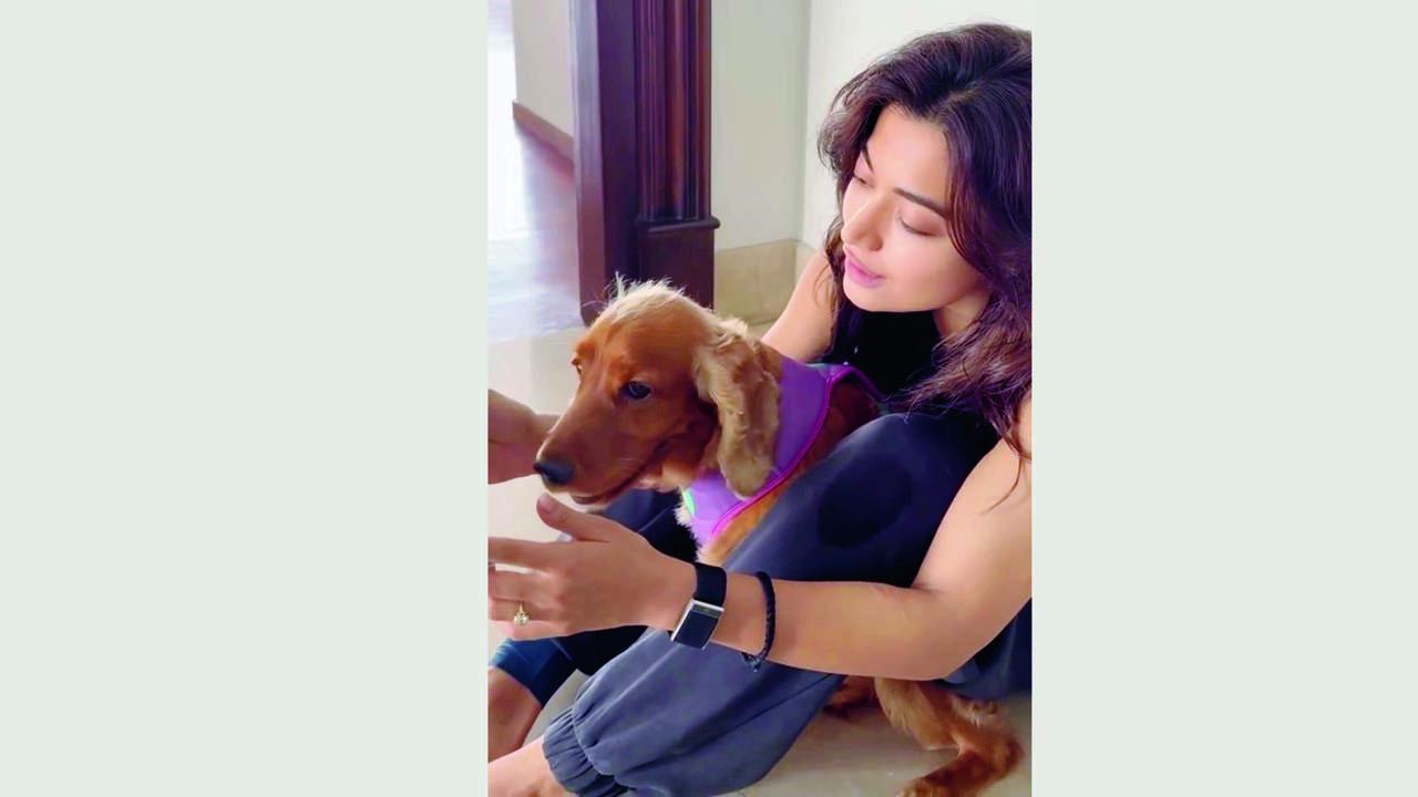 રશ્મિકાએ સોશ્યલ મીડિયા પર તેના શ્વાન સાથેનો વિડિયો શૅર કર્યો છે