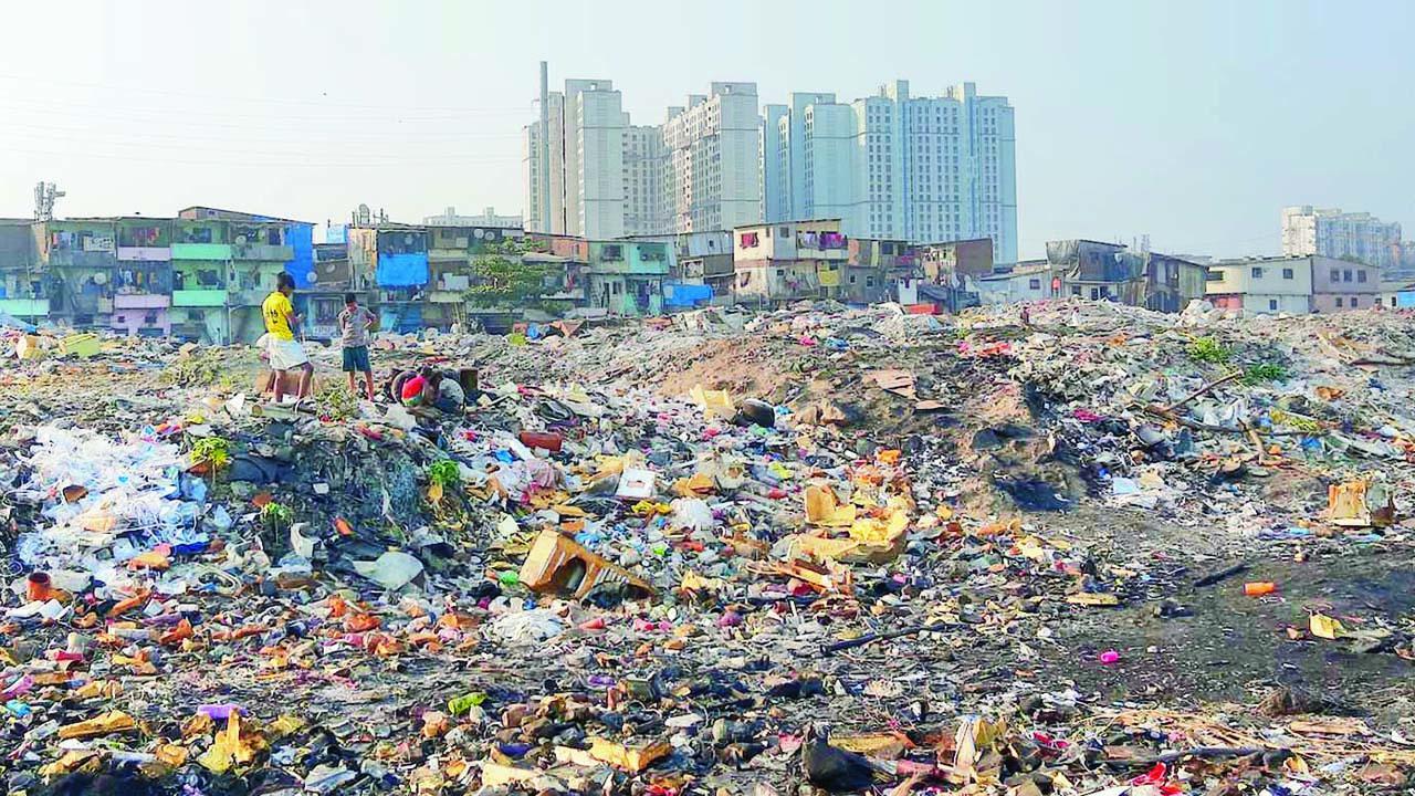 પ્રતીકાત્મક તસવીર