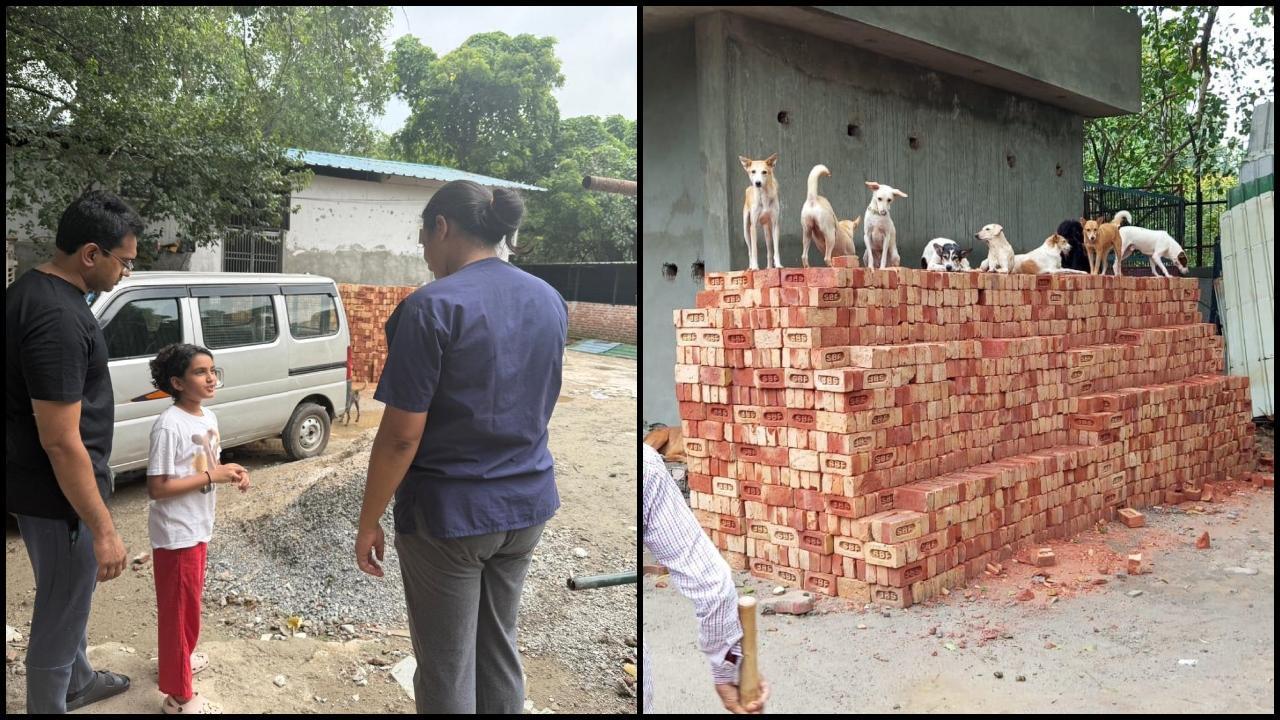 રખડતા કૂતરા ચર્ચા વચ્ચે વિદ્યાર્થિનીએ વંધ્યીકરણ કેન્દ્ર માટે 2 લાખનું દાન આપ્યું