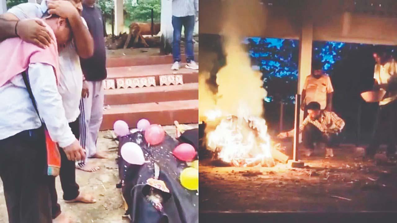 વાયરલ વીડિયોમાંથી સ્ક્રીન શૉટ