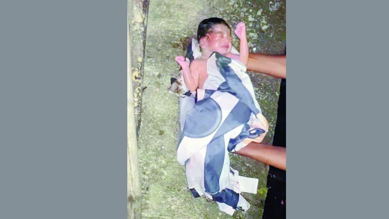 નવજાત બાળકી