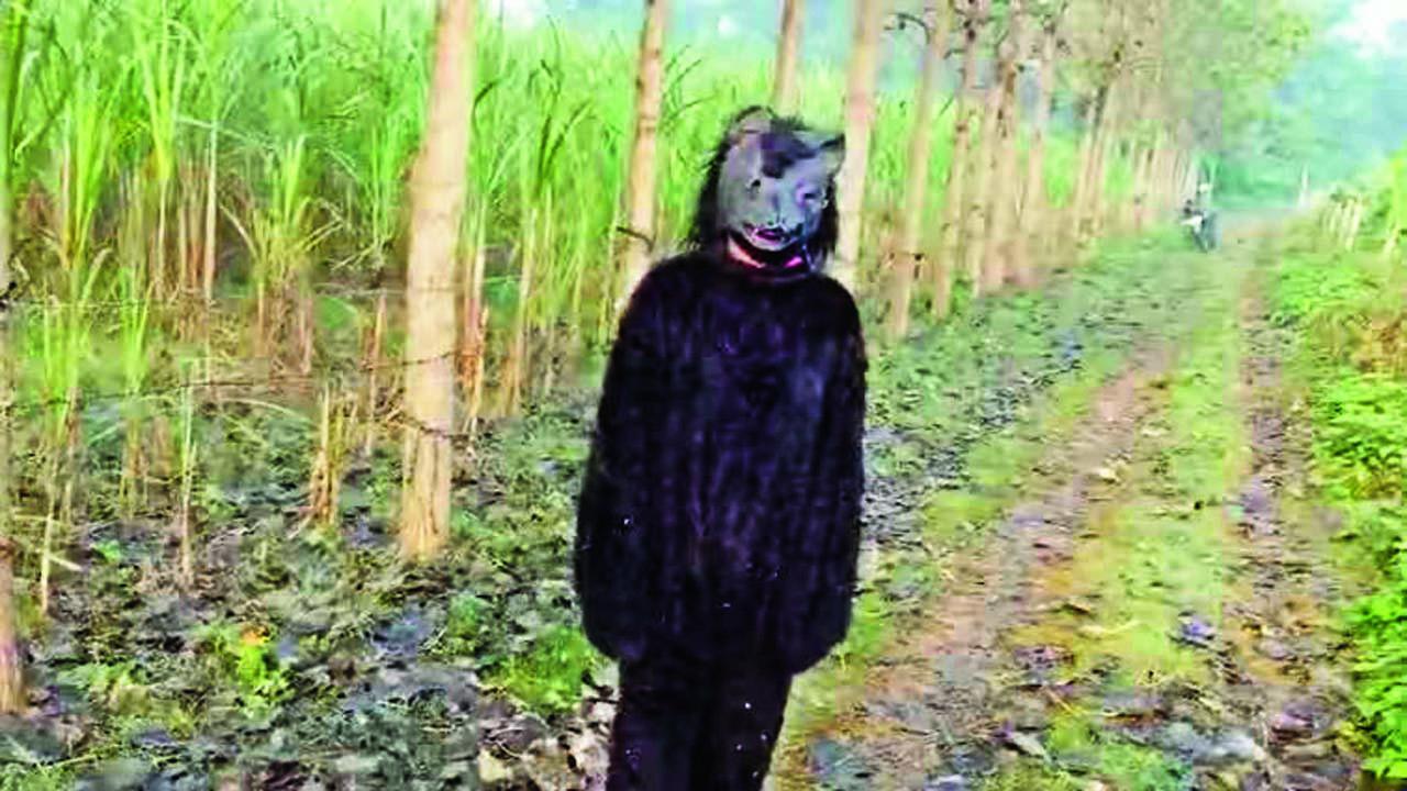 વાયરલ વીડિયોમાંથી સ્ક્રીન શૉટ