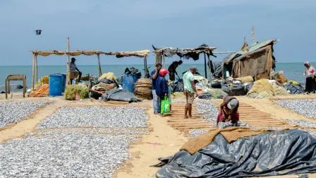 પ્રતિકાત્મક ફાઇલ તસવીર
