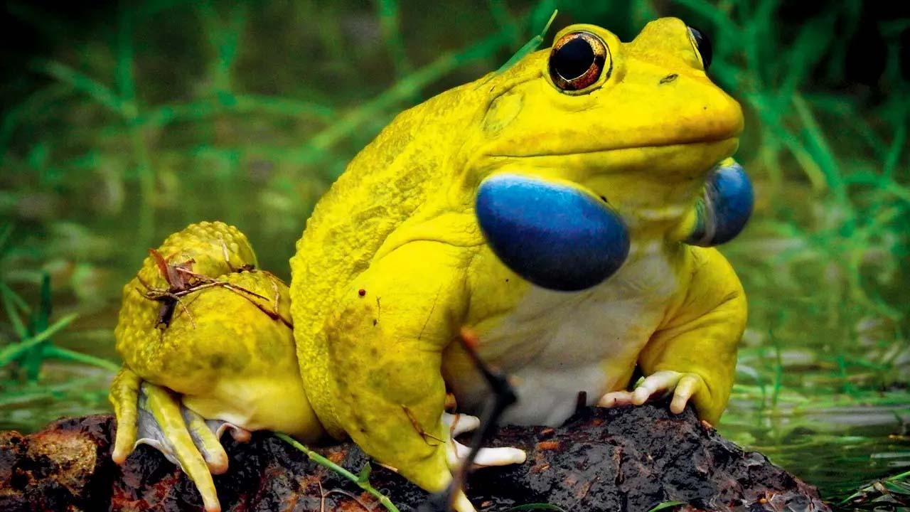 પ્રતીકાત્મક તસવીર