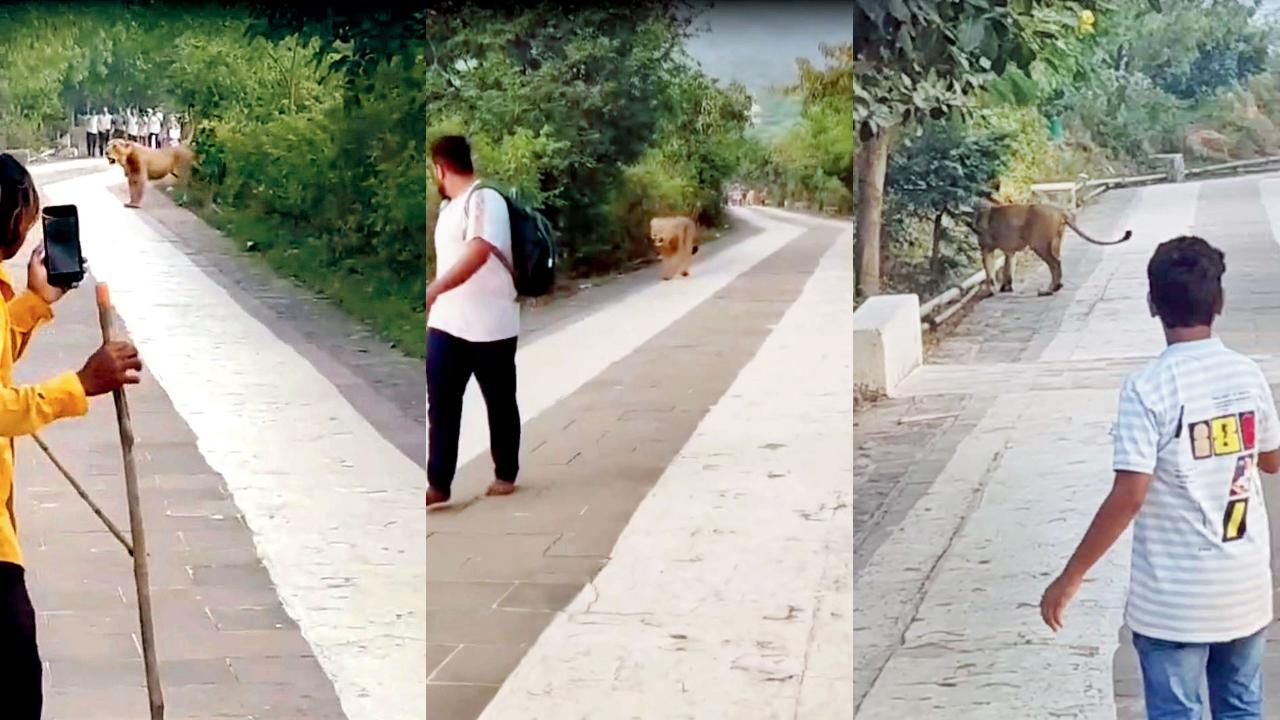શુક્રવાર સવારની આ ઘટના છે