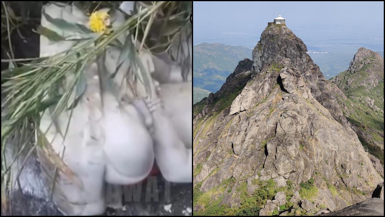 ગિરનાર પર્વત પર મૂર્તિઓ ખંડિત કરવાની ઘટના (તસવીર: X)