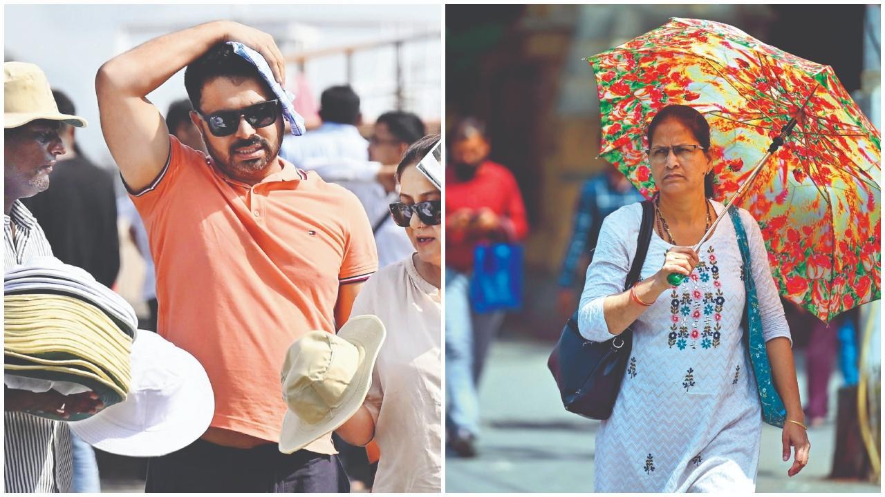 તસવીર : આશિષ રાજે, અતુલ કાંબળે