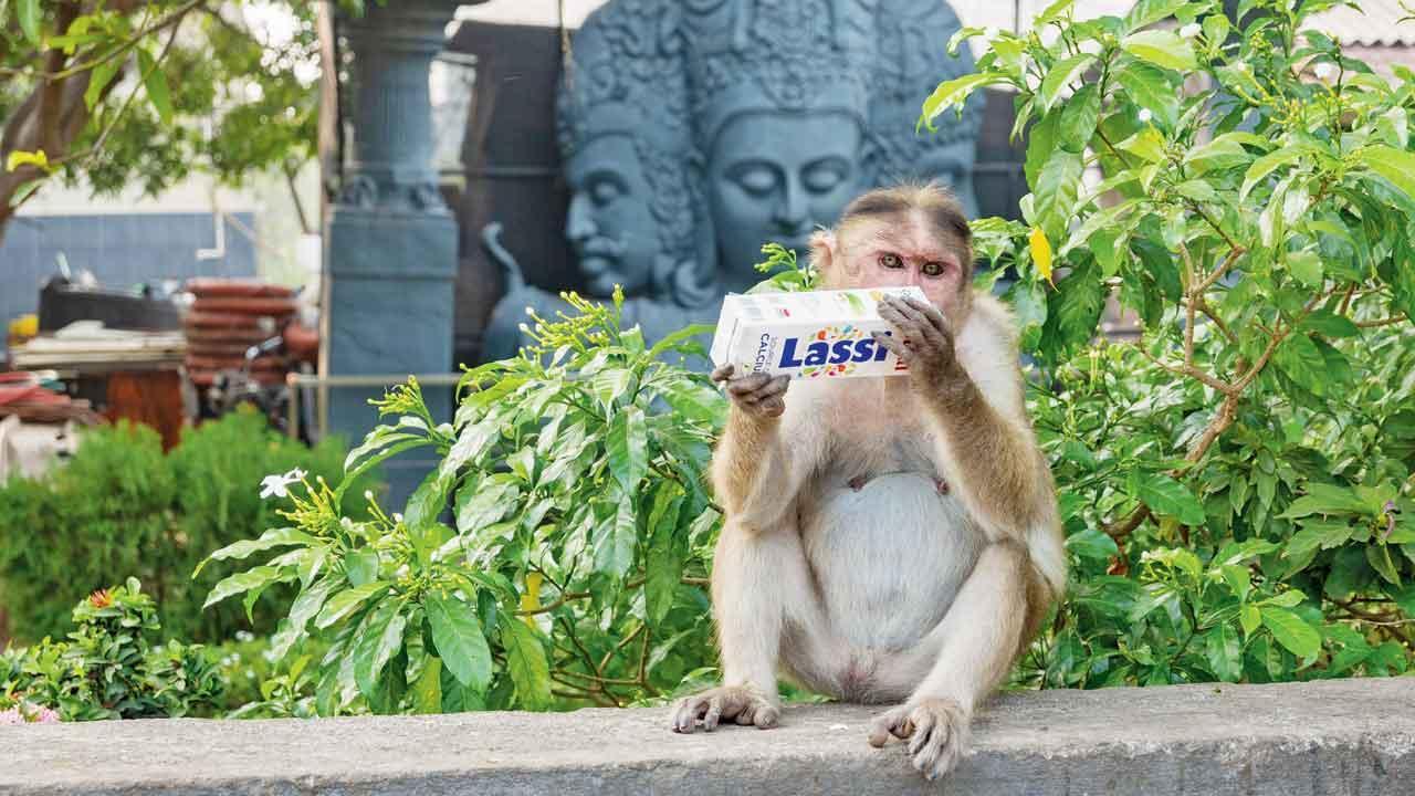 કૉલેજન સપ્લિમેન્ટ્સ લેતી વખતે આટલું ધ્યાન રાખો