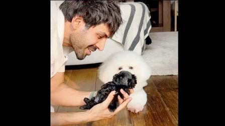 કાર્તિક આર્યન