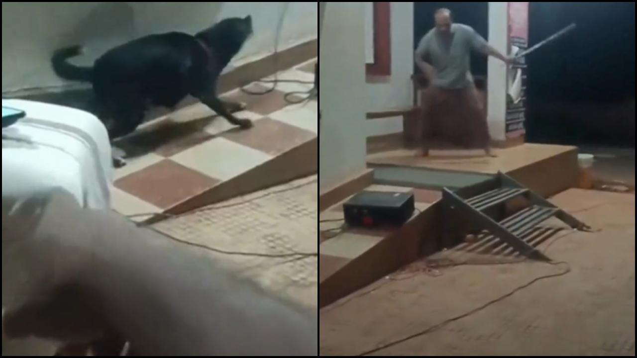 વાયરલ વીડિયોમાંથી સ્ક્રીન શૉટ (તસવીર: X)