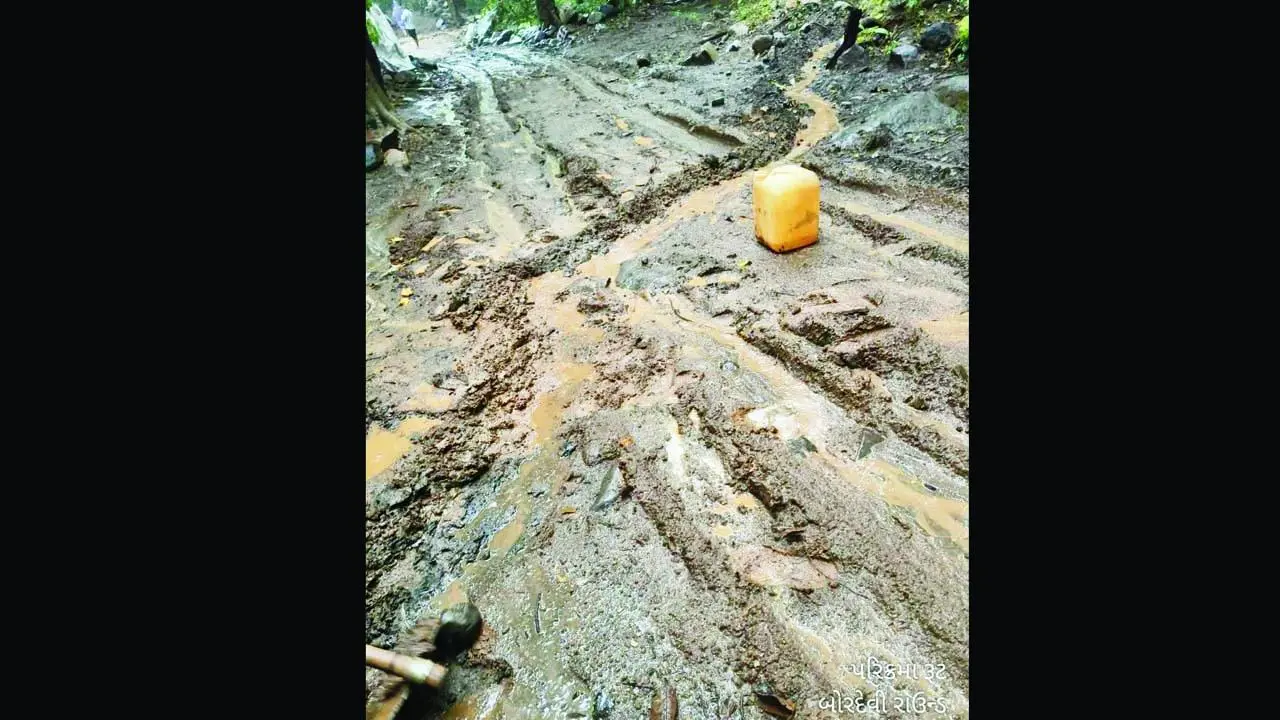 ગિરનાર પર્વતની લીલી પરિક્રમાના રૂટ પર થયેલો કાદવ-કીચડ.