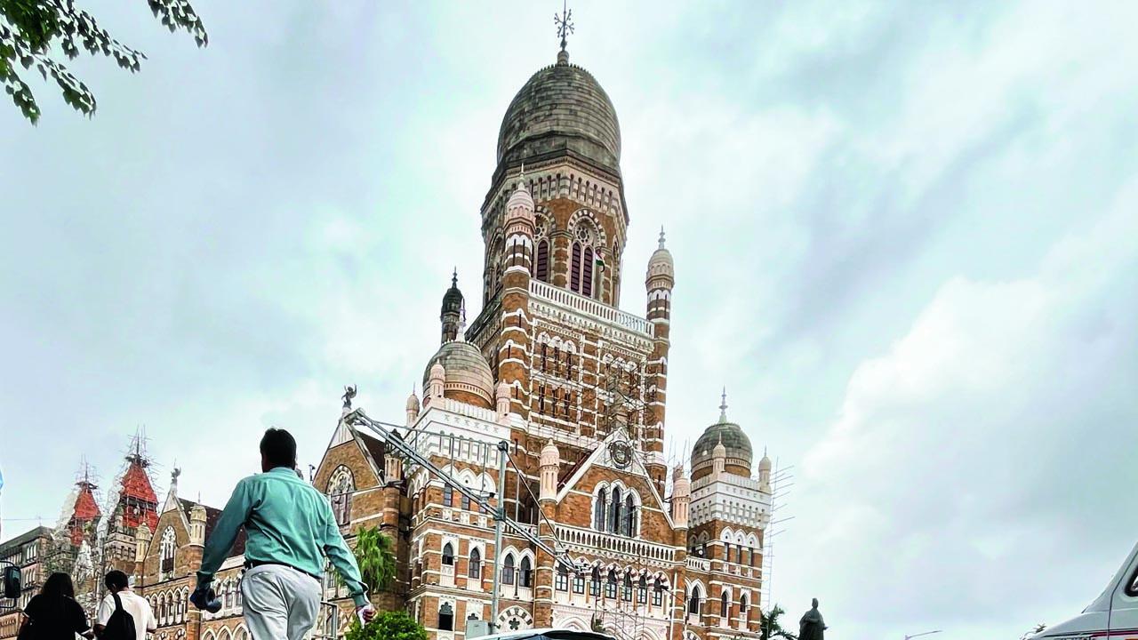 પ્રતીકાત્મક તસવીર