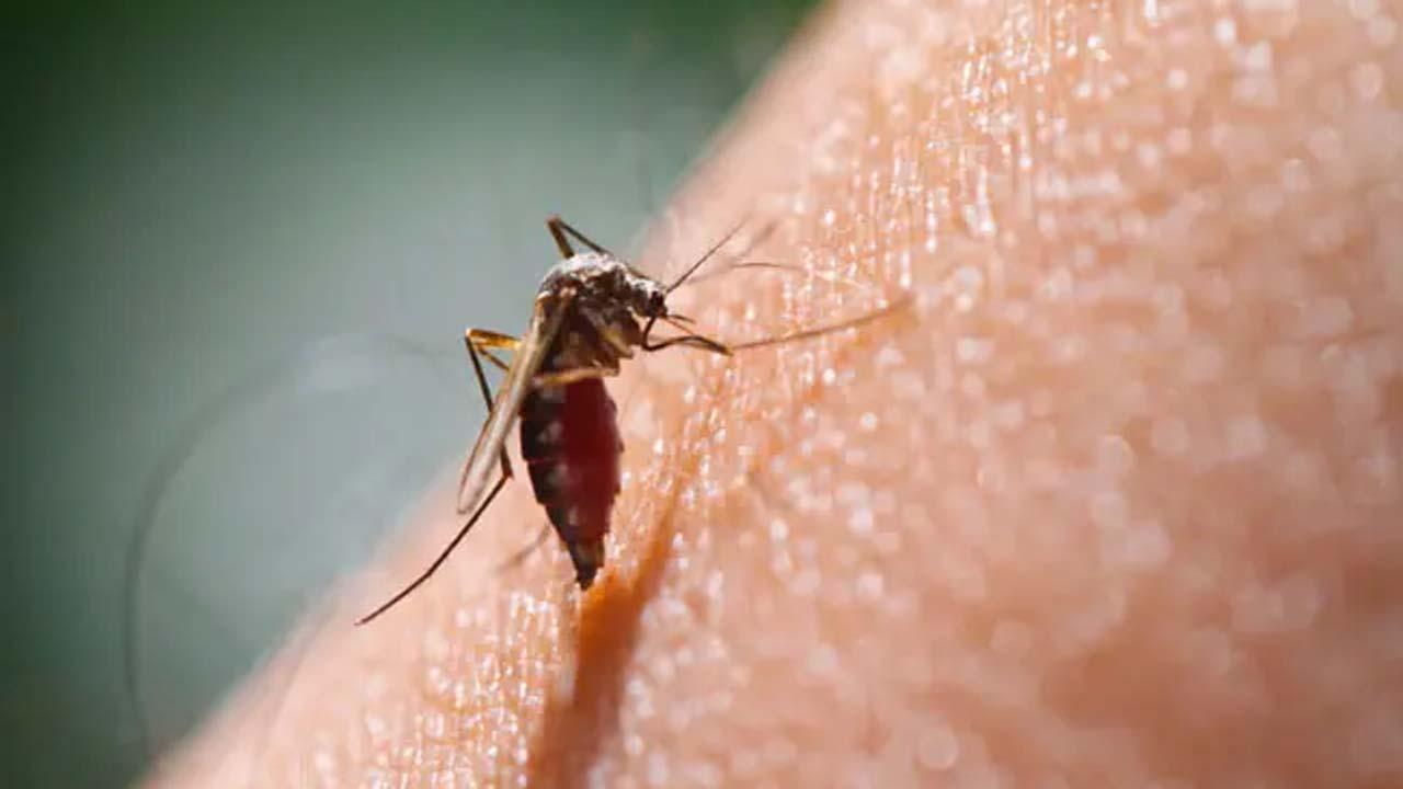 પ્રતીકાત્મક તસવીર