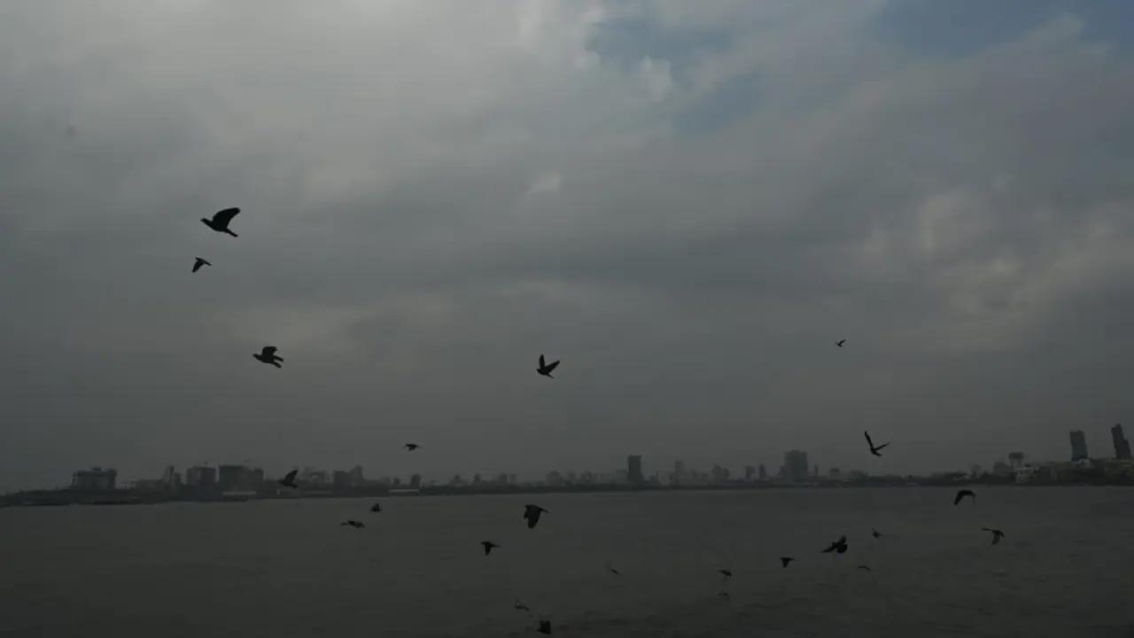 Photos: મુંબઈમાં હળવો વરસાદ અને વાદળછાયું વાતાવરણ યથાવત, જાણો અપડેટ્સ