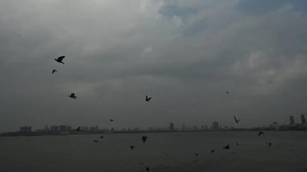 IMD એ આગાહી કરી હતી કે મંગળવારે પણ મુંબઈમાં વાદળછાયું વાતાવરણ રહેવાની શક્યતા છે. (તસવીરો: સમીર આબેદી)