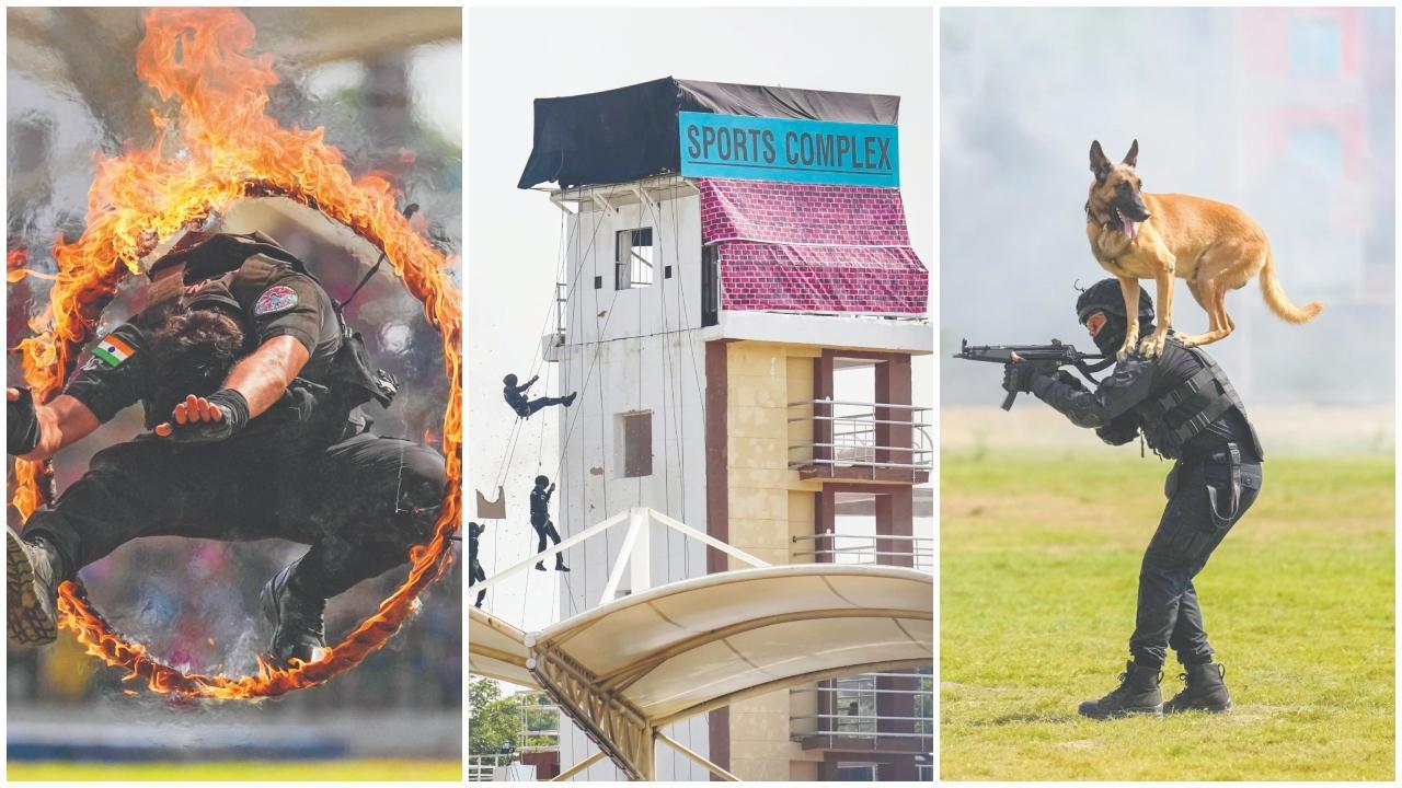 કોઈકે આગ સાથે ખેલ કર્યો હતો તો કોઈકે રેસ્ક્યુ માટે હવામાં લટકીને થતાં સાહસિક મિશનોની ઝાંખી કરાવી હતી. NSGમાં ટ્રેઇનિંગ પામેલા ડૉગીએ પણ આ પ્રદર્શનમાં ભાગ લીધો હતો. 