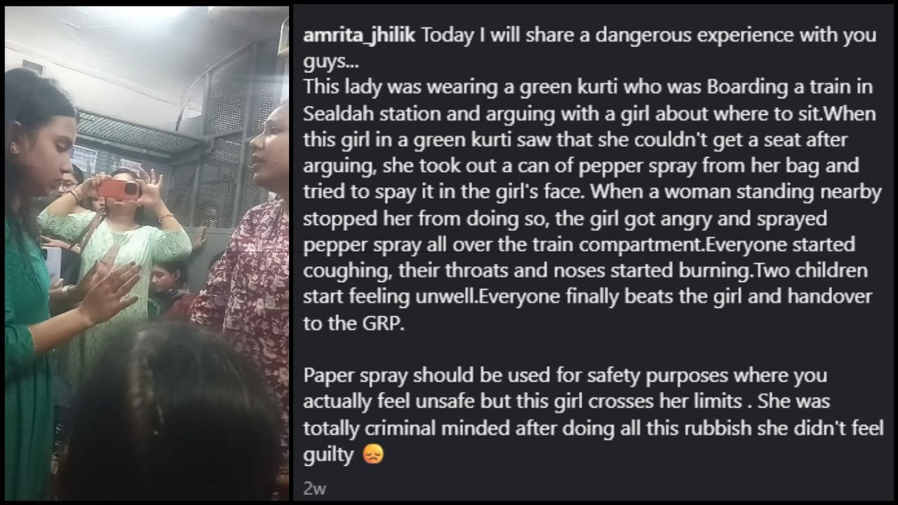 વાયરલ વીડિયોનો સ્ક્રીનગ્રૅબ (તસવીર સૌજન્ય: સોશિયલ મીડિયા) 